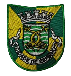 Cidade de Espinho
