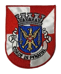 Cidade de Penafiel